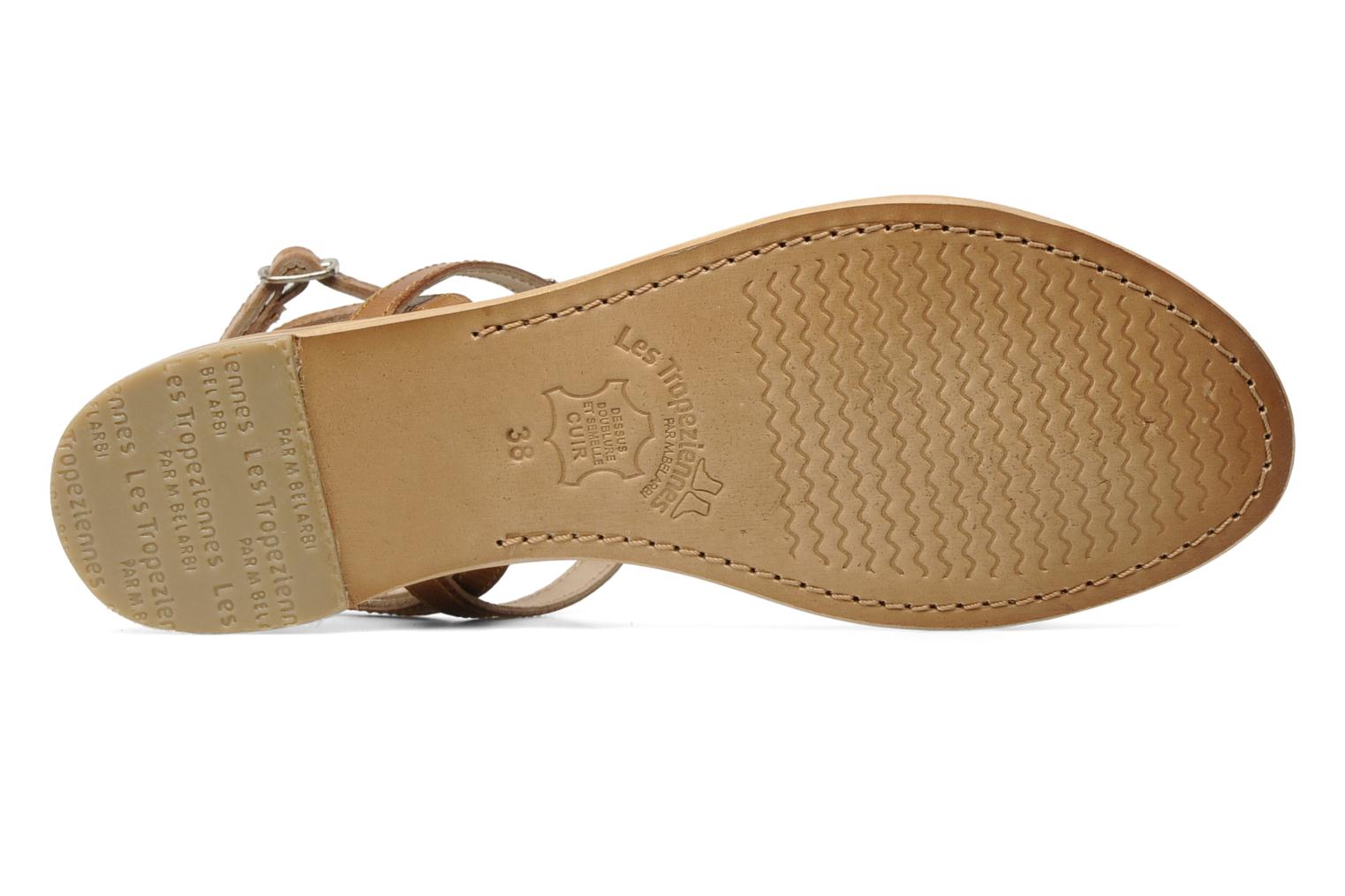 hilan les tropeziennes