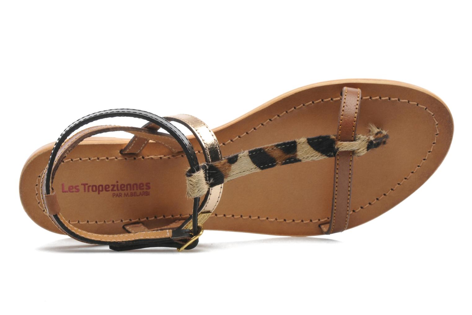 les tropeziennes hilan