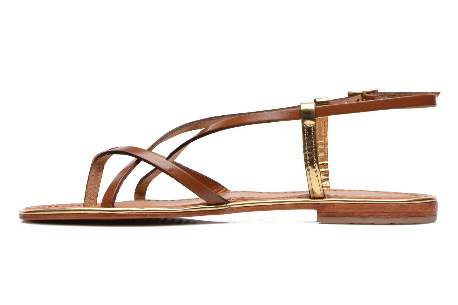 les tropéziennes par m belarbi monaco