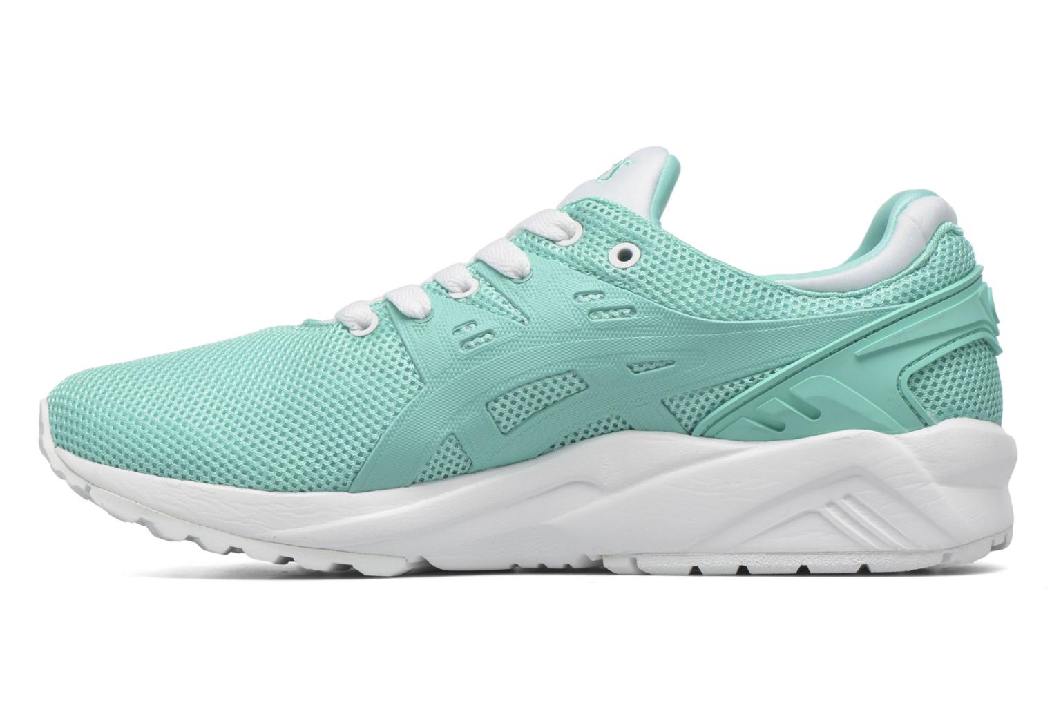 asics gel-kayano trainer evo