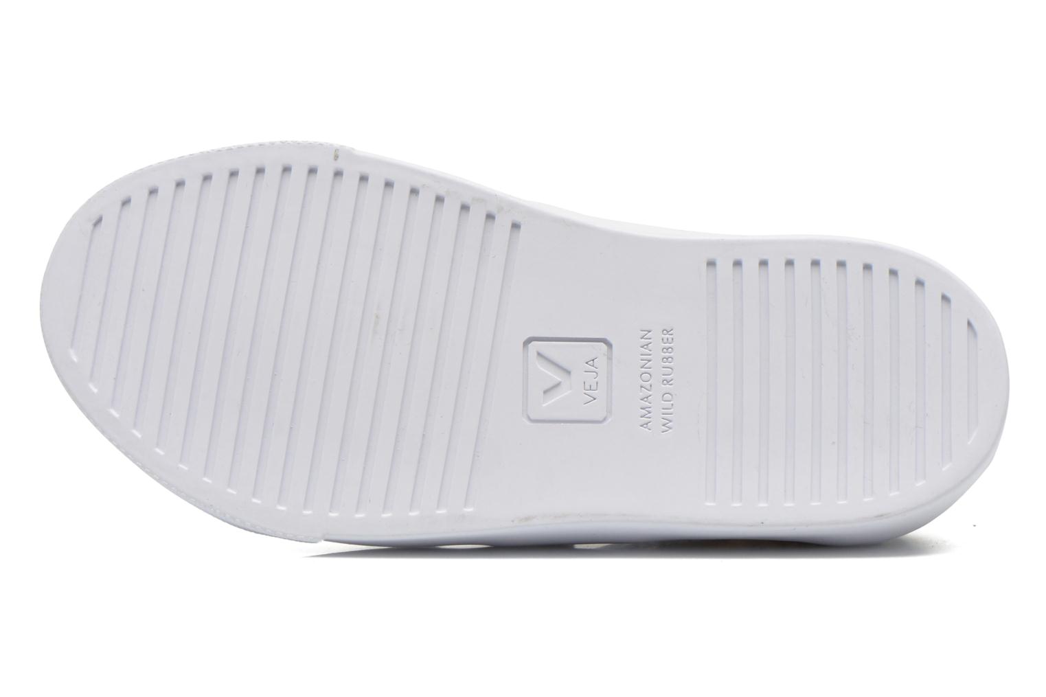 esplar velcro