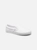 Vans Baskets Classic Slip-on pour Homme Male 47 VN000EYEW00