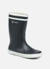 Lolly Pop par Aigle 31