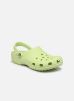 Crocs Sandales et nu-pieds Classic M pour Homme Male 41 - 42 10001-335