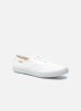 Victoria Baskets M pour Homme Male 40 106613/White