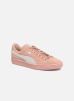 Suede Classic Wn's par Puma 42 female