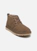 UGG Chaussures à lacets Neumel pour Homme Male 38 3236-HCK