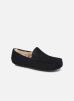 UGG Chaussons Ascot pour Homme Male 40 1101110/TNVY