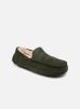 UGG Chaussons Ascot pour Homme Male 42 1101110-FRSN