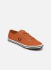 Fred Perry Baskets Kingston Twill pour Homme Male 42 B7259-Q22