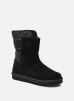 Newbie I par Sorel 36 female