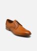 Lloyd Chaussures à lacets NEVADA pour Homme Male 45 14-118-06