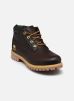 Timberland Bottines et boots 6" Premium Boot pour Homme Male 39 TB0A6DVDEXU1