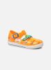 Jelly sandals CROCO par Colors of California 19