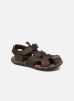 Oak Bluffs Leather Fisher par Timberland 33 male