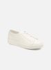 Clean Icon W par Santoni 40 female