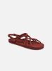 JC sandals W par Nomadic State of Mind 35 female