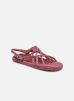 JC sandals W par Nomadic State of Mind 37 female