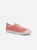 Pernick-T7306 par TBS 36 female