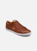 Fred Perry Baskets Baseline Leather pour Homme Male 41 B4330-C55