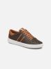 Keaton Stripe Sneaker par Michael Michael Kors 35 female