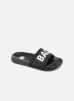 DMC NEOPRENE BG par Kwots 39 female