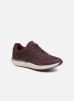 Un Cruise Lace par Clarks Unstructured 36 female