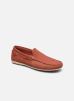 Portter par TBS 40 male