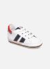Saverio par Shoesme 20 male