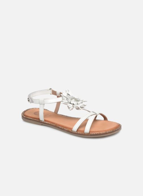 ROUBAIX par Gioseppo