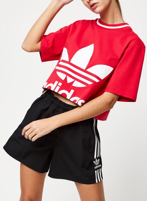 Cropped Tee par adidas originals