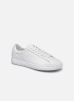 Clae Baskets Bradley W pour Femme Female 38 1/2 CL20ABR01-WWL