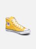 Converse Baskets Chuck Taylor All Star Seasonal Color Hi W pour Femme Female 36 1/2 130125C