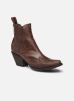 Gaucho 2 par Mexicana 35 female