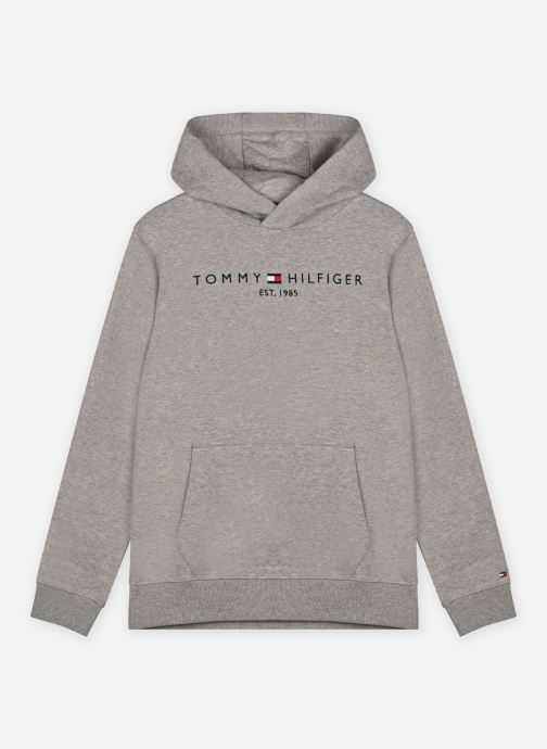 Vêtements Tommy Hilfiger Essential Hoodie pour  Accessoires