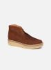 Pallas Desert par Schmoove Woman 40 female