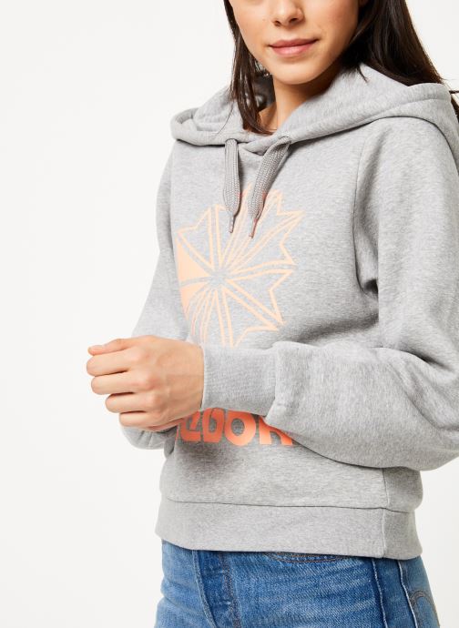 Cl Fl Big Logo Hoodi par Reebok