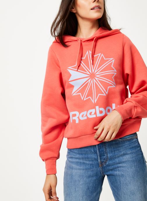 Cl Fl Big Logo Hoodi par Reebok