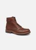 Licourt par Aigle 44 male