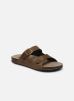 STEPPES par TBS 40 male