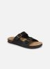 STEPPES par TBS 41 male