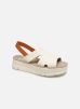 ORUGA UP par Camper 40 female