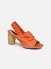 Mulata S626 par Neosens 39 female