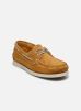 TBS Chaussures à lacets PHENIS pour Homme Male 40 PHENIS--F8289