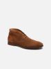 COMTE 5 par Kost 40 male