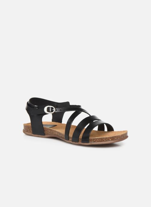 ANATOMIUM par Kickers