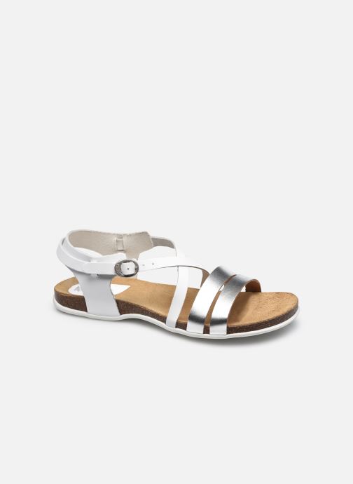 ANATOMIUM par Kickers