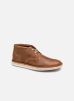 Forge Stride par Clarks 40 male