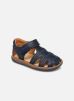 Bicho FW par Camper 20 male