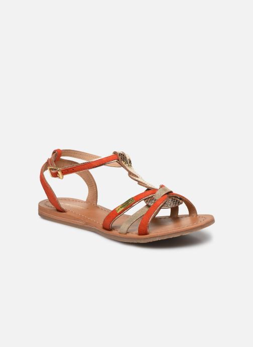 HAMUC par Les Tropéziennes par M Belarbi